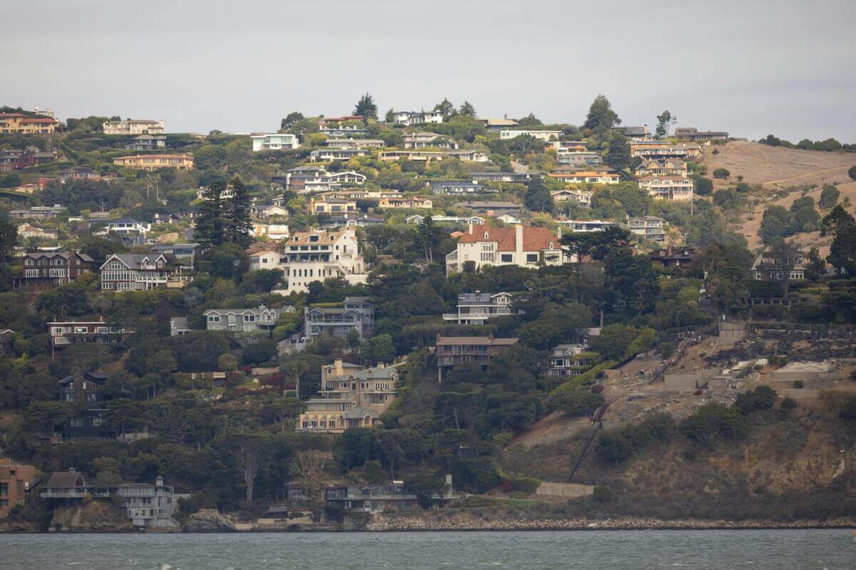 Berkeley Hills hillside homes overlooking the Bay where Ontrack Moving serves residents