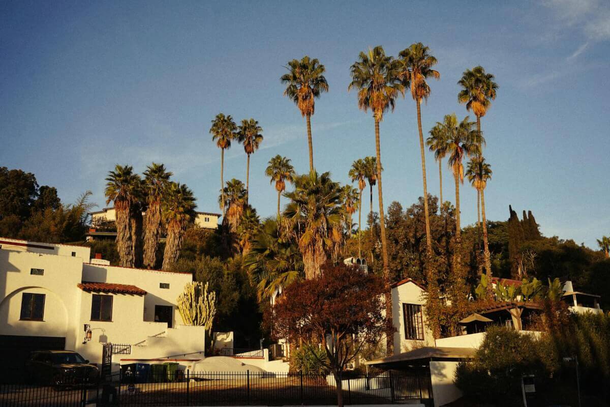 Tree-lined Peninsula residential street with established homes in Ontrack Moving's Portola Valley service area